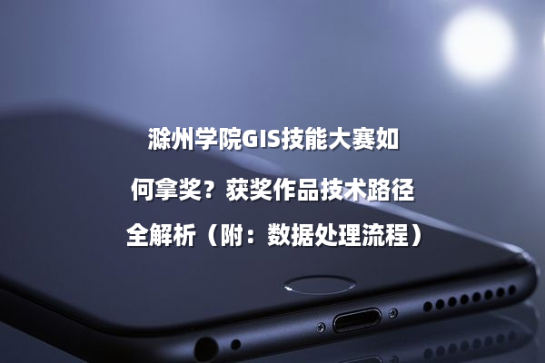 滁州学院GIS技能大赛如何拿奖？获奖作品技术路径全解析（附：数据处理流程）