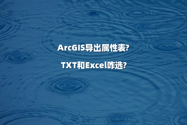 ArcGIS导出属性表?TXT和Excel咋选?