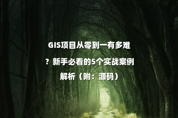 GIS项目从零到一有多难？新手必看的5个实战案例解析（附：源码）
