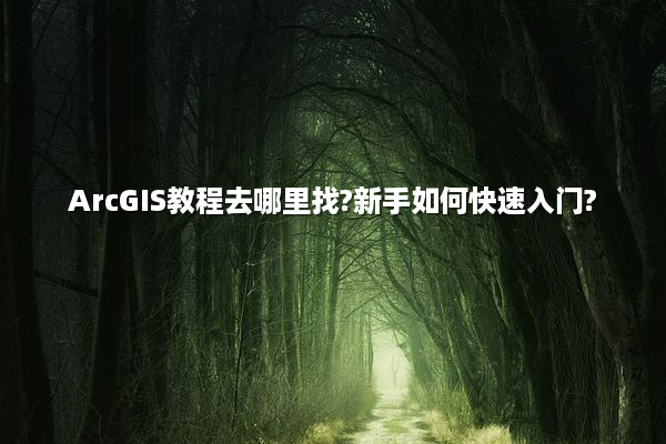 ArcGIS教程去哪里找?新手如何快速入门?
