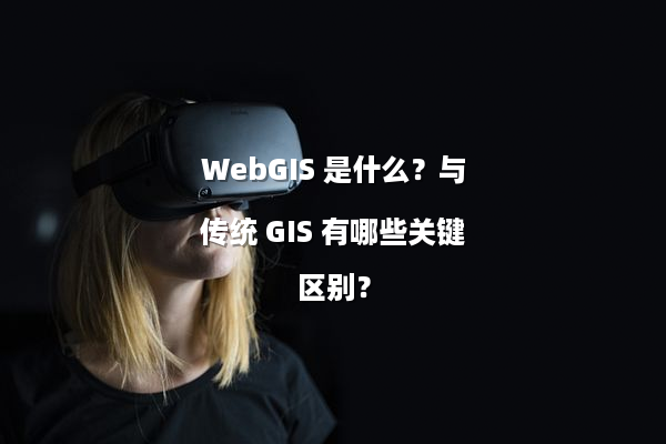 WebGIS 是什么？与传统 GIS 有哪些关键区别？