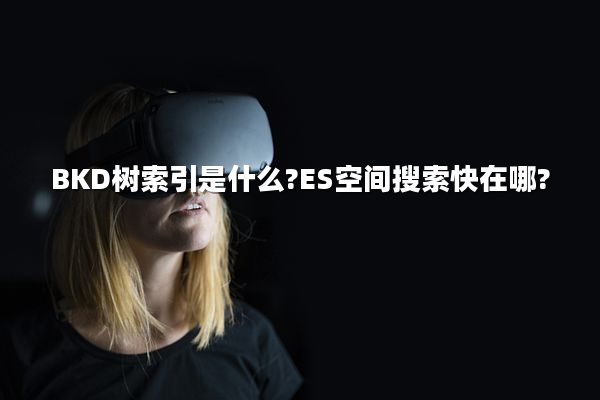BKD树索引是什么?ES空间搜索快在哪?