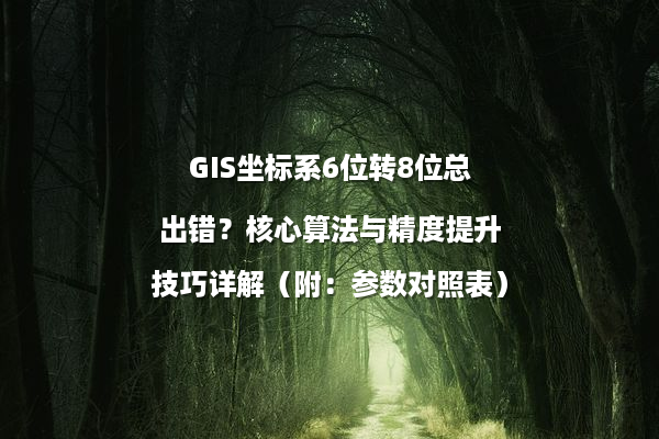 GIS坐标系6位转8位总出错？核心算法与精度提升技巧详解（附：参数对照表）