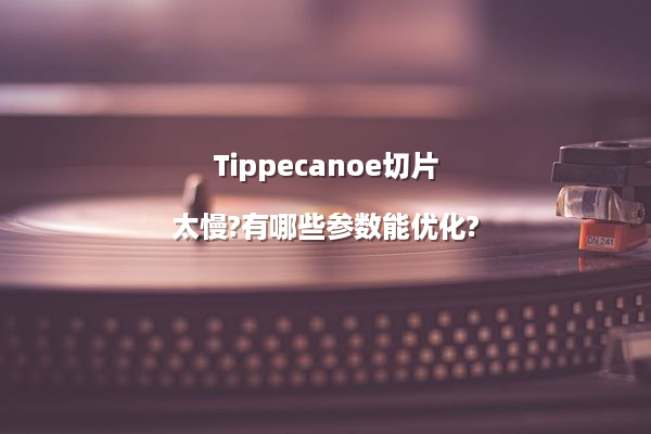 Tippecanoe切片太慢?有哪些参数能优化?