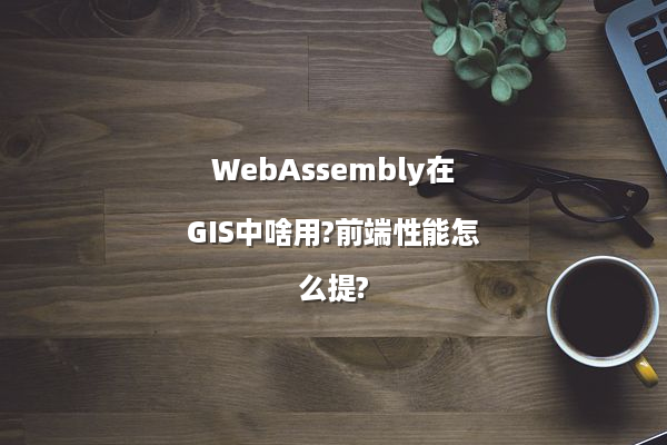 WebAssembly在GIS中啥用?前端性能怎么提?