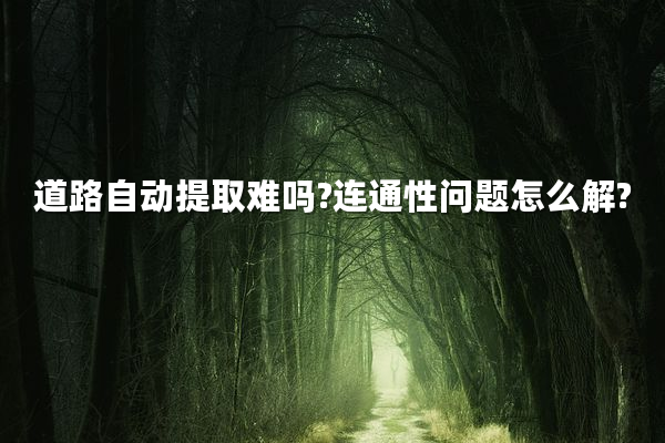 道路自动提取难吗?连通性问题怎么解?