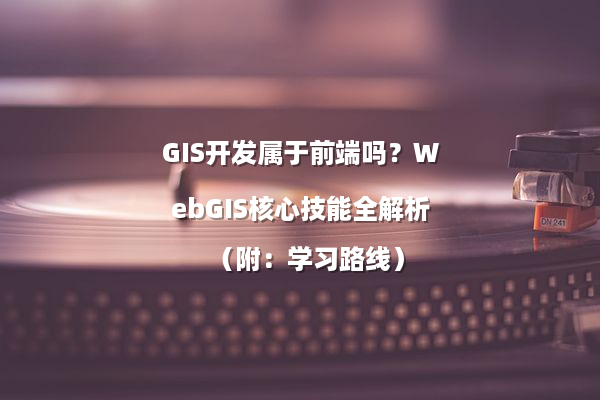 GIS开发属于前端吗？WebGIS核心技能全解析（附：学习路线）