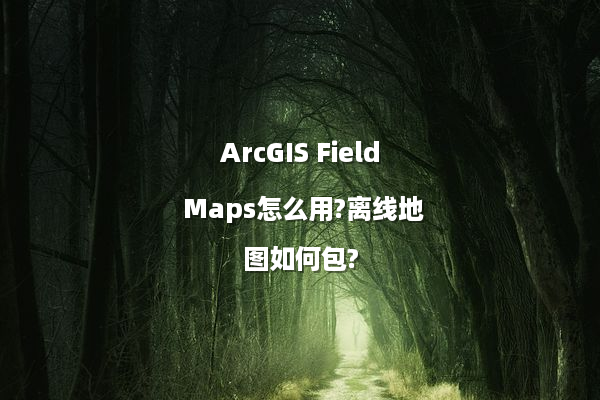 ArcGIS Field Maps怎么用?离线地图如何包?