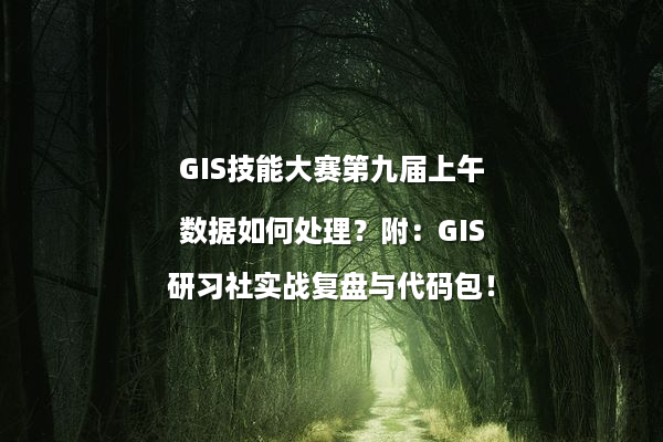 GIS技能大赛第九届上午数据如何处理？附：GIS研习社实战复盘与代码包！