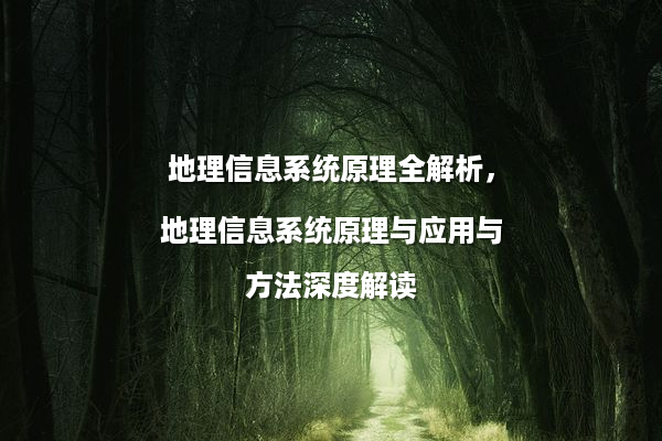 地理信息系统原理全解析，地理信息系统原理与应用与方法深度解读