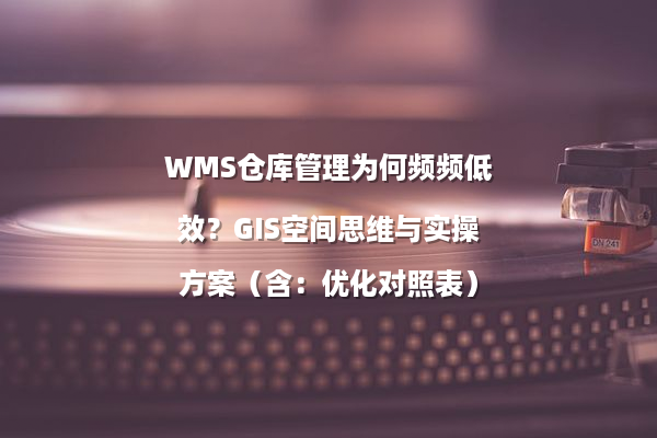 WMS仓库管理为何频频低效？GIS空间思维与实操方案（含：优化对照表）