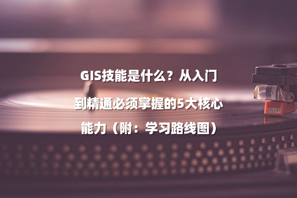 GIS技能是什么？从入门到精通必须掌握的5大核心能力（附：学习路线图）