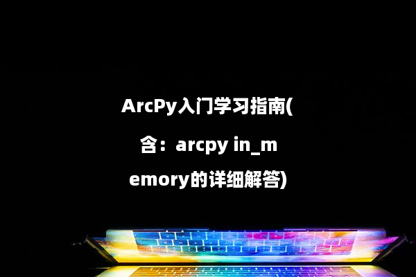 ArcPy入门学习指南(含：arcpy in_memory的详细解答)
