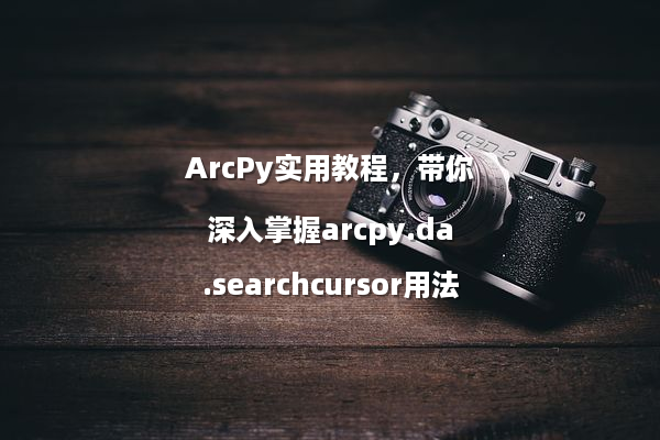 ArcPy实用教程，带你深入掌握arcpy.da.searchcursor用法
