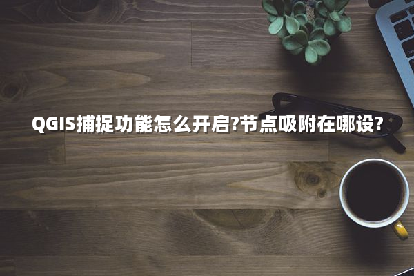 QGIS捕捉功能怎么开启?节点吸附在哪设?