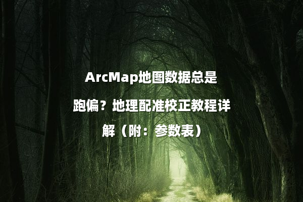 ArcMap地图数据总是跑偏？地理配准校正教程详解（附：参数表）