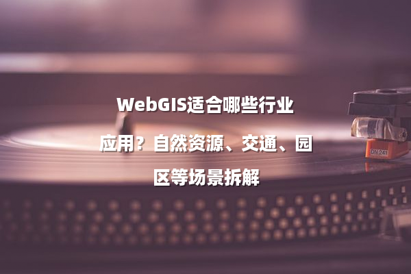 WebGIS适合哪些行业应用？自然资源、交通、园区等场景拆解