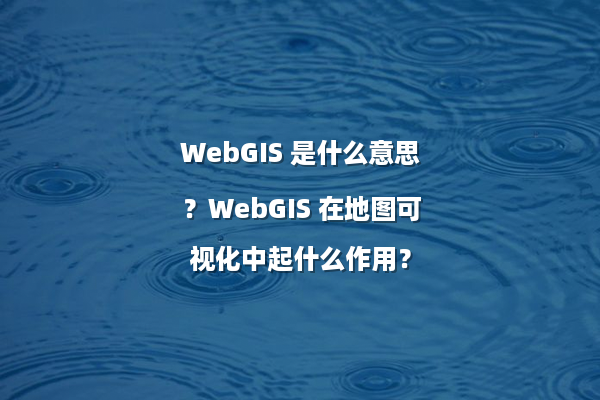 WebGIS 是什么意思？WebGIS 在地图可视化中起什么作用？