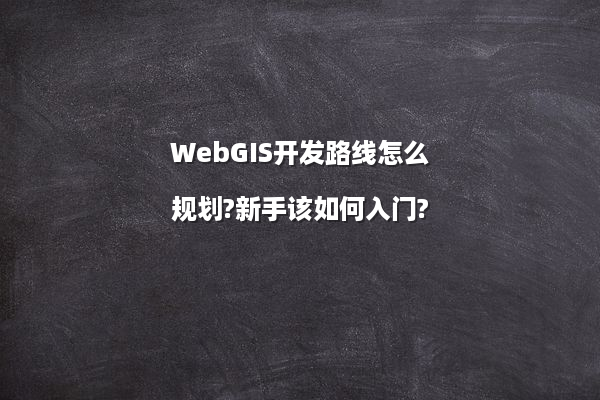WebGIS开发路线怎么规划?新手该如何入门?